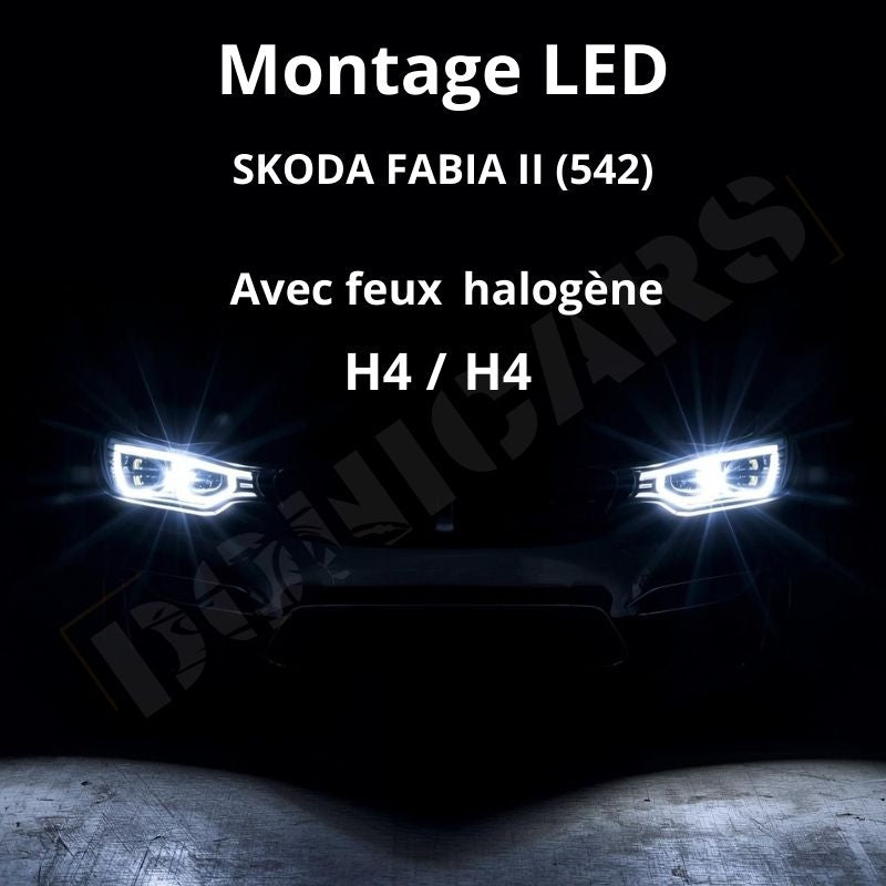 Fabelhafte Skoda Fabia Lampen H4 Oder H7 Bildernull
